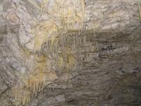 Albums/20060200-New Zealand 2006/20060318-Kaikiura/73